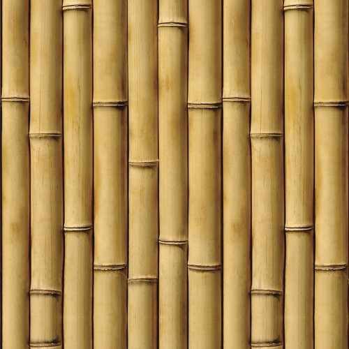 Papel De Parede Adesivo 3d Textura - Textura Horizontal Tigre Preto - Sala  - Ambientes